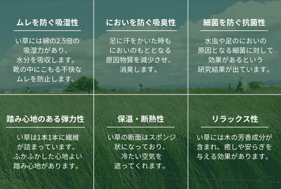 ＜リベラート＞4Way畳ローファ― メンズ/ダークブラウン